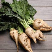 White Sugar Beet Seeds
