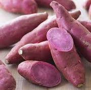 Sweet Potato Pink Dichondra Seeds