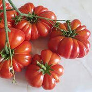Red Santorini Tomato Seeds