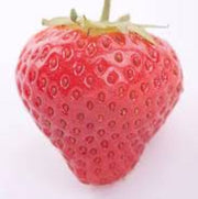 Rosy Pink Strawberry Seeds