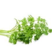 parsley Chervil Seeds - Herbal Seeds