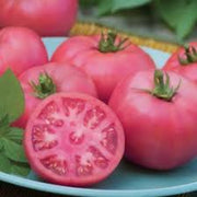 Pink Tomato Seeds