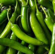 Serrano Pepper Seeds