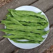 Runner Bean Seeds