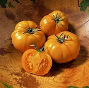 Big Orange Tomato Seeds