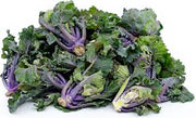 Kalettes Seeds