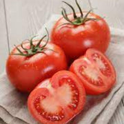 ACE Tomato Seeds