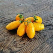 Banana Legs Tomato Seeds