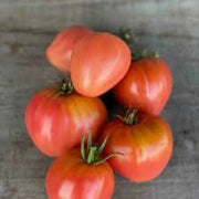 Coeur de Boeuf Rose Tomato Seeds