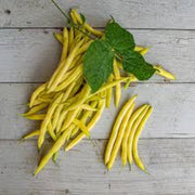 Yellow Bean Seeds