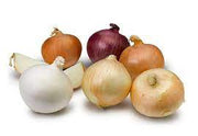 Mix Onion Seeds
