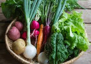 Vegetable Garden Starter Pack Kit