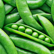 Fresh Green Pea Seeds