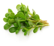 Golden Purslane Seeds