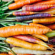 Mixed Colors Carrot Seeds