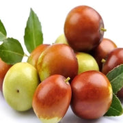 Mixed Jujube Seeds