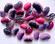 Scarlet Runner Bean Seeds