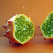 Jelly Melon Melon Seeds, Vegetabe