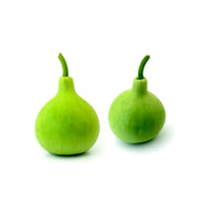 Giant Bottle Gourd Seeds