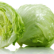 Iceberg Crisp Head Lettuce Seeds