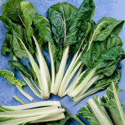 Lucullus Swiss Chard Seeds