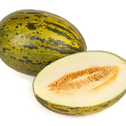Piel de Sapo Melon Seeds, Vegetabe