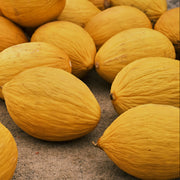 Crenshaw Melon Seeds