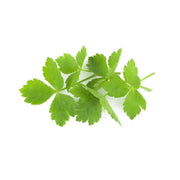 Japanese Parsley Seeds, Herbal
