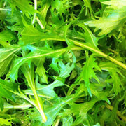 Baby Leaf Seeds, Herbal