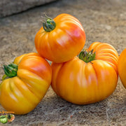 Mr. Stripey Tomato Seeds