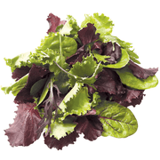 Mesclun Mix Lettuce Seeds
