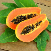 Caribbean Red Papaya Seeds