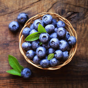 North American Mix Blueberry Seeds