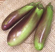 Red and Green Eggplant Seeds