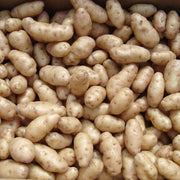 Brown White Sweet Potato Seeds