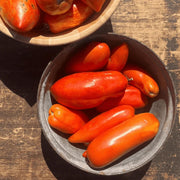 Red Opalka Tomato Seeds
