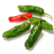 Shishito Pepper Seeds