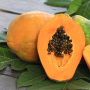 Carica Papaya Seeds