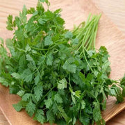 parsley Chervil Seeds - Herbal Seeds