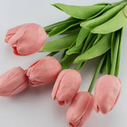 Peach Tulip Seeds