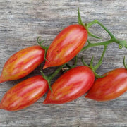 Pink Tiger Tomato Seeds