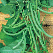 Climbing Runner Bean Seeds