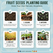 Mixed Strawberry Seeds