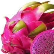 Purple Dragon Seeds