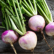 Amerikanische Lila Top Rutabaga Seeds