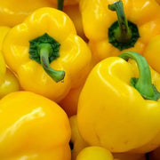 Light Yellow Bell Pepper Seeds
