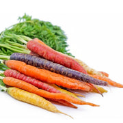 Multi-Colored Daucus Carota Carrot Seeds