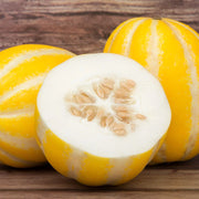 Yellow Korean Melon Seeds