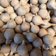 White Egg Nest Egg Gourd Seeds