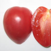 Red Grushovka Tomato Seeds